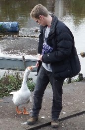 Feeding a Goose